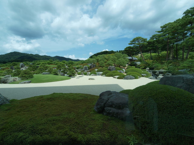 img0015.jpg