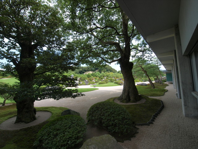 img0019.jpg