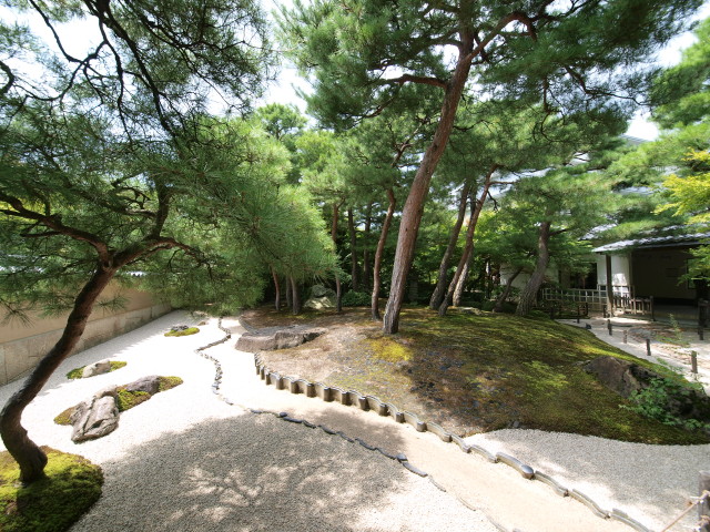 img0035.jpg