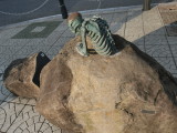 img0082.jpg