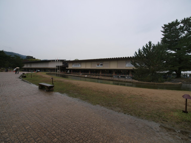 img0032.jpg