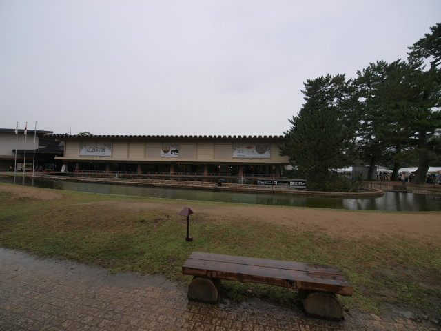 img0033.jpg