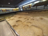 img0001.jpg