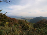 img0018.jpg