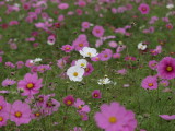 img0008.jpg