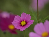 img0010.jpg