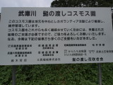 img0015.jpg