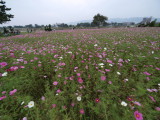 img0016.jpg