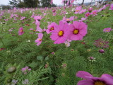 img0020.jpg