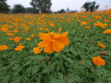 img0021.jpg