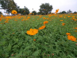 img0023.jpg