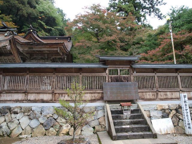 img0007.jpg
