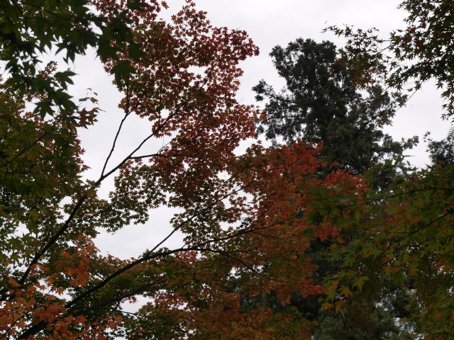 img0014.jpg