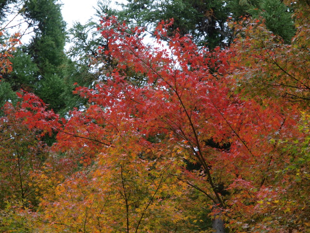 img0021.jpg