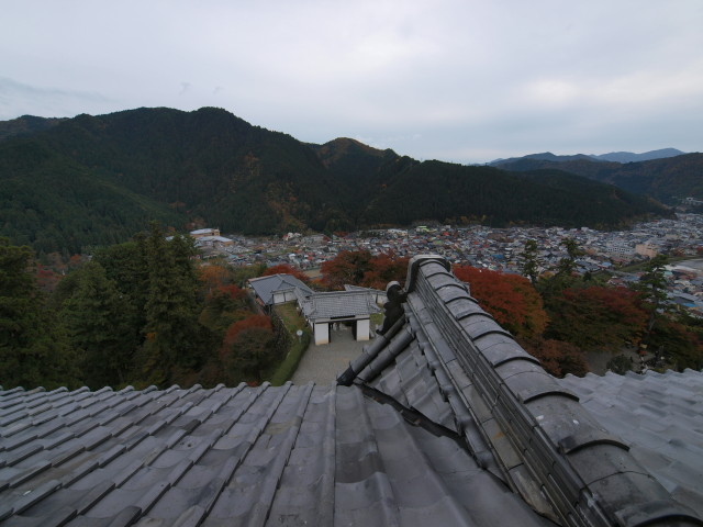 img0035.jpg