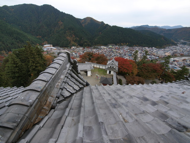 img0036.jpg