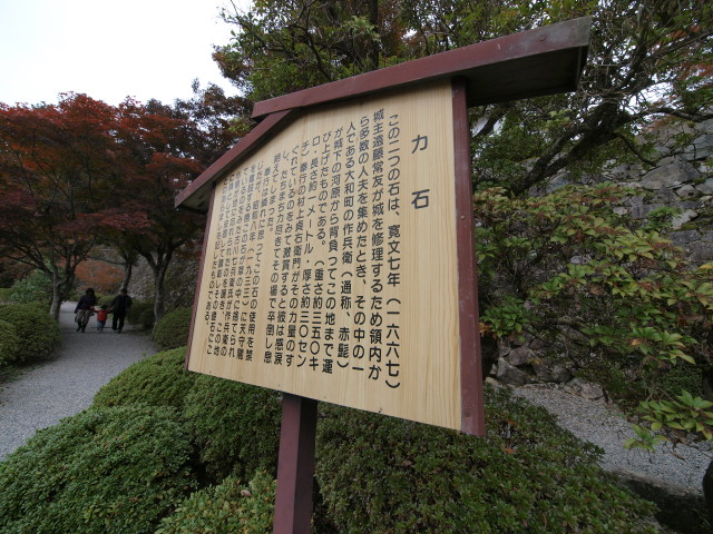img0049.jpg