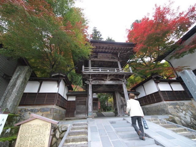 img0074.jpg
