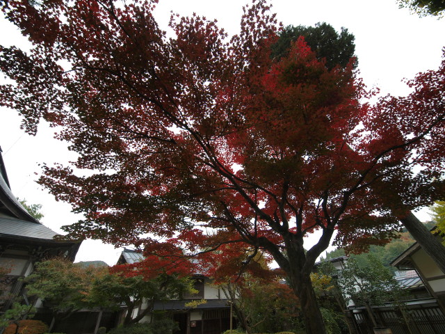 img0077.jpg
