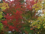 img0010.jpg