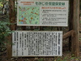 img0011.jpg