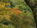 img0012.jpg