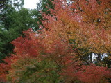 img0020.jpg