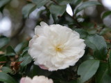 img0022.jpg