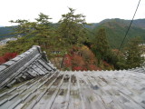 img0038.jpg