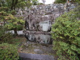img0048.jpg
