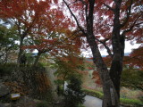img0050.jpg
