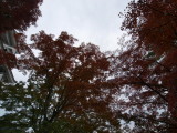 img0051.jpg