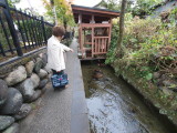 img0071.jpg