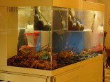 img0002.jpg