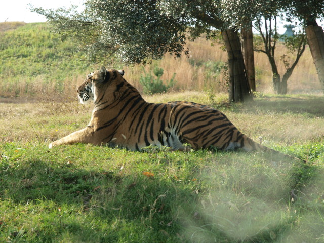 img0007.jpg