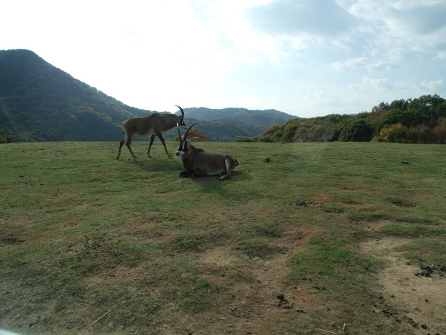 img0012.jpg