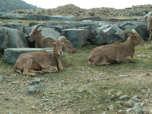 img0014.jpg