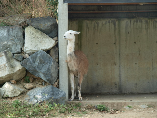 img0018.jpg