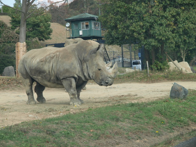 img0023.jpg