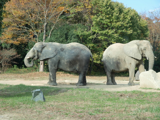 img0027.jpg