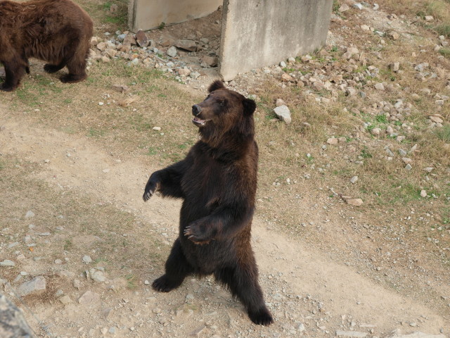 img0031.jpg