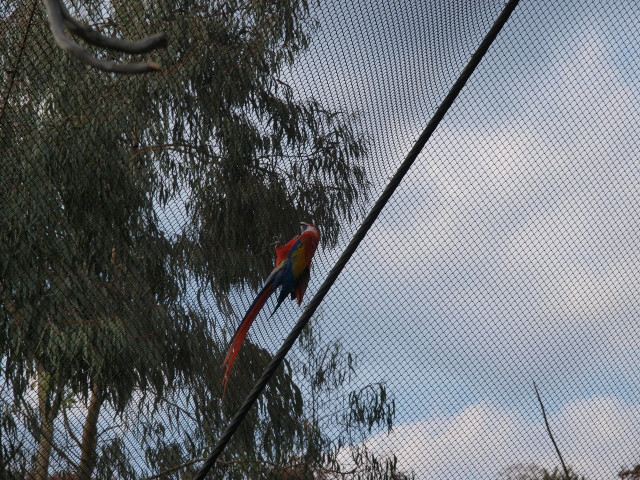 img0035.jpg