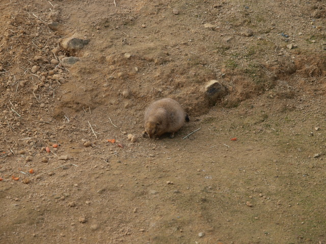 img0036.jpg