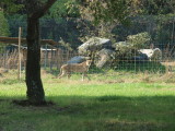 img0002.jpg