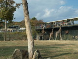 img0009.jpg