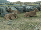img0014.jpg