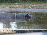 img0019.jpg