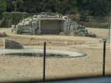 img0020.jpg
