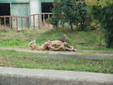 img0021.jpg