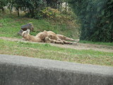 img0022.jpg